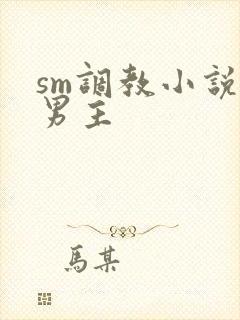 sm调教小说双男主