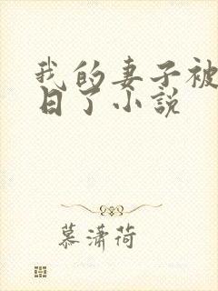 我的妻子被乞丐日了小说封面