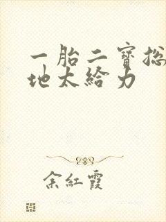 一胎二宝总裁爹地太给力