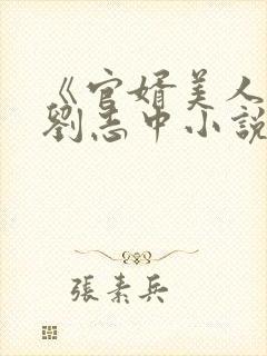 《官婿美人香》刘志中小说