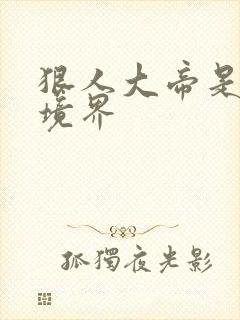 狠人大帝是什么境界