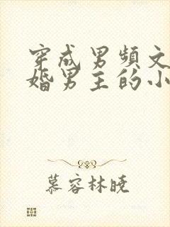 穿成男频文里退婚男主的小说