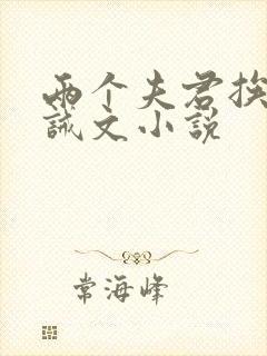 两个夫君挨打训诫文小说