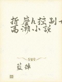 折磨h控制她的高潮小说