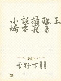 小说摄政王是病娇要宠着封面