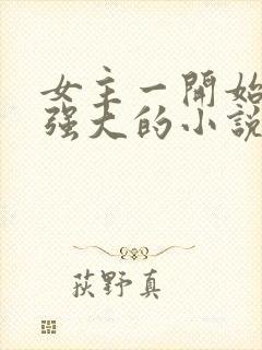 女主一开始就很强大的小说
