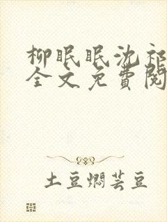 柳眠眠沈祁小说全文免费阅读封面