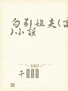 勾引姐夫(高h)小说