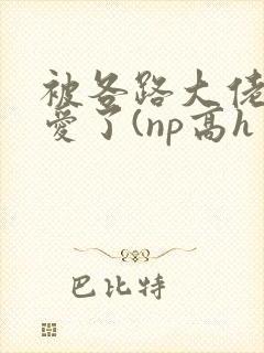 被各路大佬强制爱了(np高h