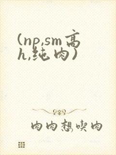 (np,sm高h,纯肉)