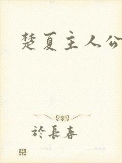 楚夏主人公小说