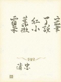 霜叶红了宋诚应采薇小说笔趣阁