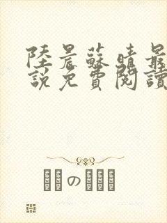 陆晨苏晴最新小说免费阅读全文