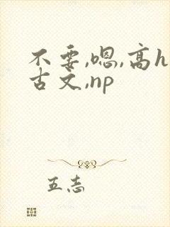 不要,嗯,高h古文,np封面