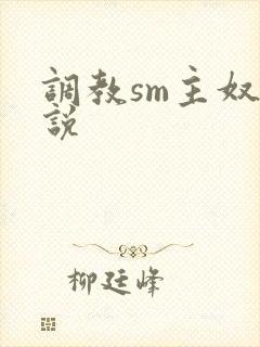 调教sm主奴小说封面