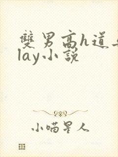 双男高h道具play小说封面