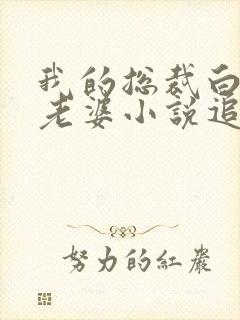 我的总裁白富美老婆小说追书封面