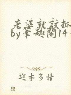 老婆就该抓起来by笔趣阁14章免费阅读封面