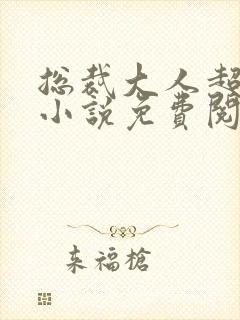 总裁大人超给力小说免费阅读全文