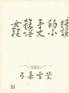 女杀手的榨精手段淫文小说在线阅读