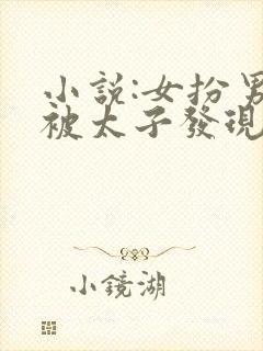 小说:女扮男装被太子发现后