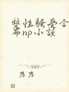 双性骚受合集抹布np小说