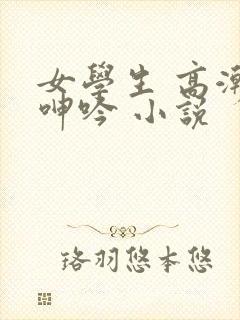 女学生 高潮 呻吟 小说封面