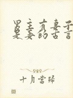 男主有妻子女主是妾的古言封面