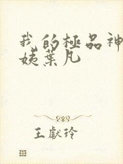 我的极品神级小姨叶凡