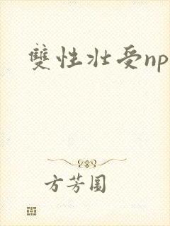 双性壮受np文封面