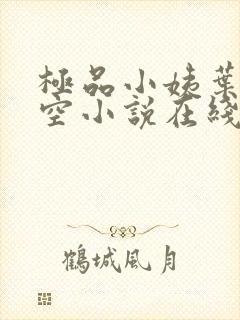 极品小姨叶凡司空小说在线阅读全文