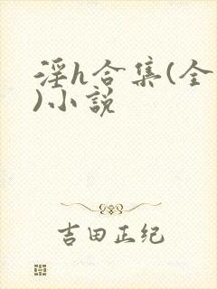 淫h合集(全黄)小说