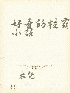 好看的校霸校园小说