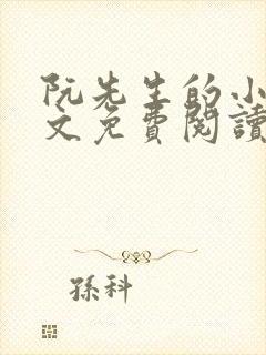 阮先生的小说全文免费阅读无弹窗封面