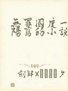 无罪国度一路向阳写的小说免费阅读