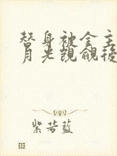 替身被金主的白月光觊觎后【总.攻