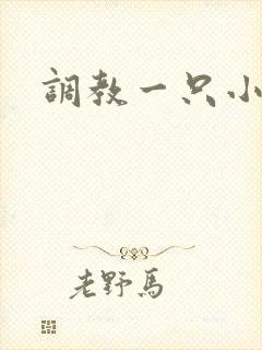 调教一只小母狗