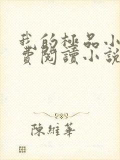 我的极品小姨免费阅读小说封面