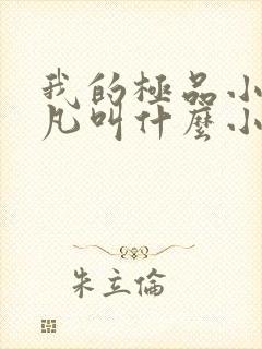 我的极品小姨叶凡叫什么小说