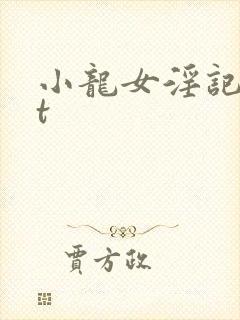 小龙女淫记txt封面