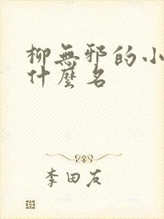 柳无邪的小说叫什么名