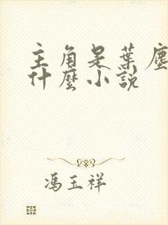 主角是叶尘的是什么小说