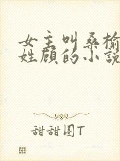 女主叫桑榆男主姓顾的小说