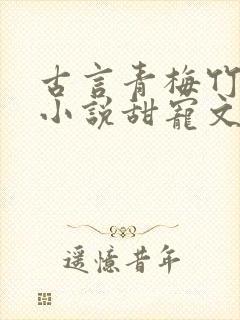 古言青梅竹马的小说甜宠文