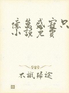 亿万盛宠只为你小说免费封面