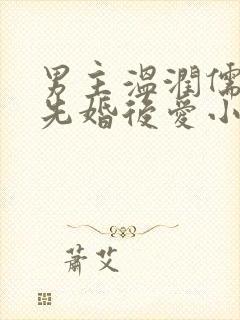 男主温润儒雅的先婚后爱小说