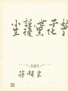 小说,世子妃重生后黑化了