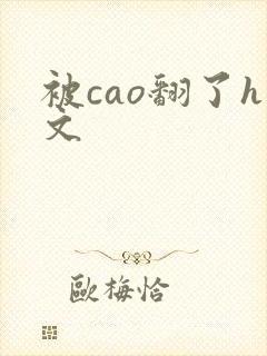 被cao翻了h文封面