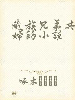 藏族兄弟共娶媳妇的小说