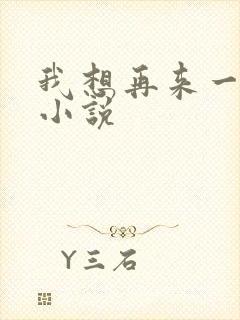 我想再来一次 小说封面